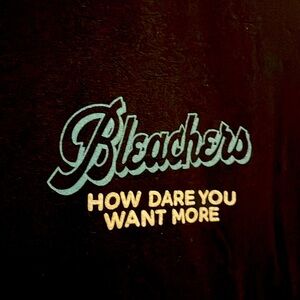 Bleachers Concert T shirt LG